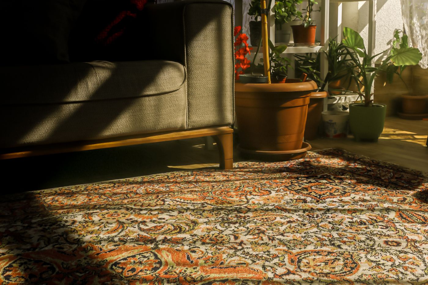 Sonnenlicht fällt auf einen gemusterten Vintage-Teppich unter dem Sofa